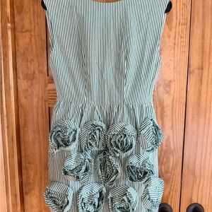 Fancy D Striped Green Dress with Floral Accents
